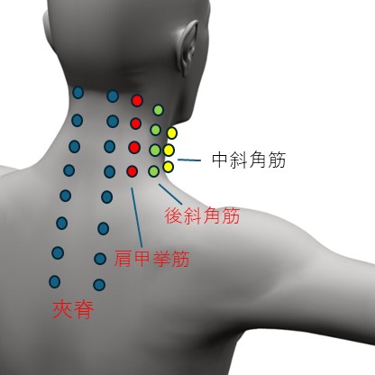 耳鳴後頚部治療部位